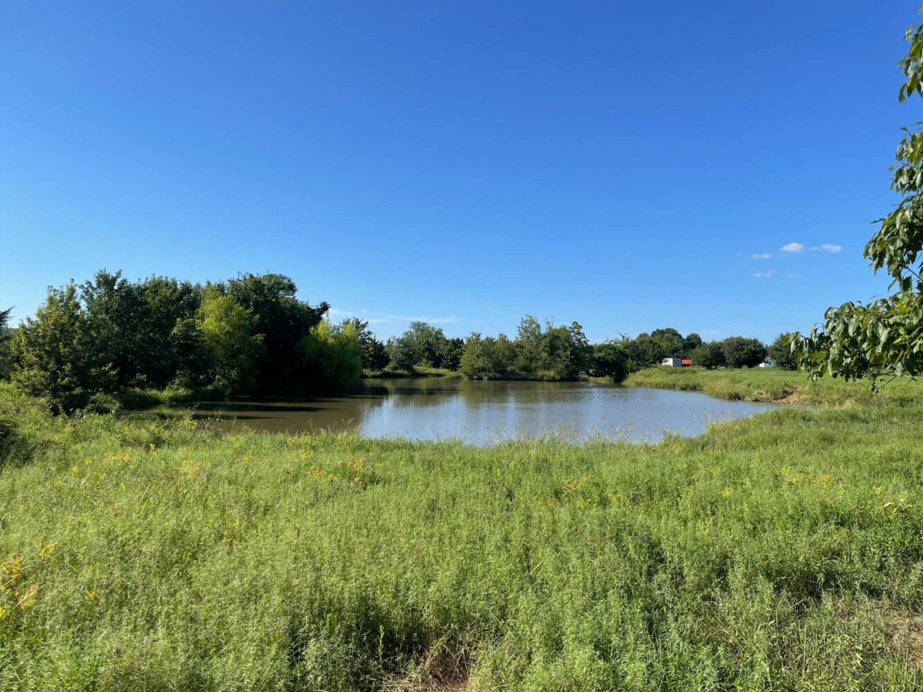 Land for Sale in Haskell County, OK (35 of 72)
