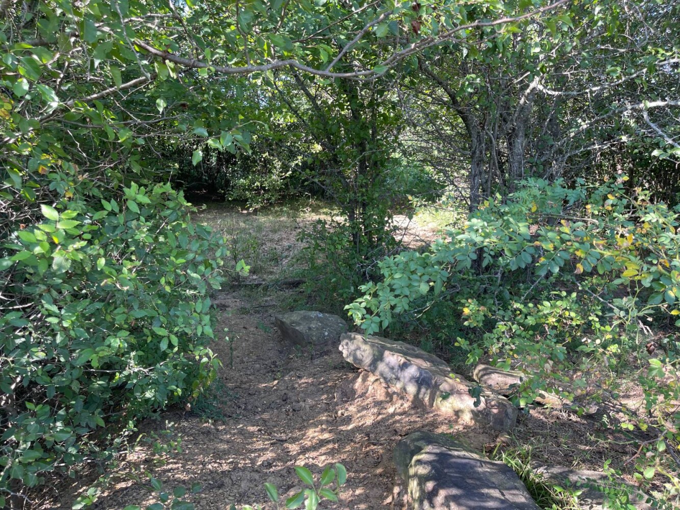 Land for Sale in Haskell County, OK (36 of 72)