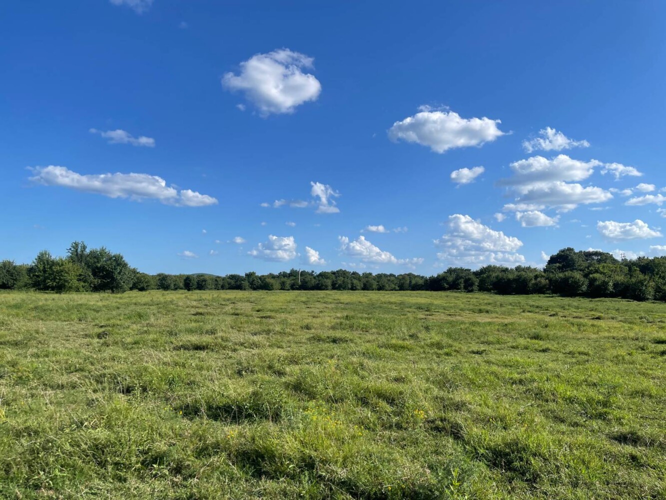 Land for Sale in Haskell County, OK (38 of 72)