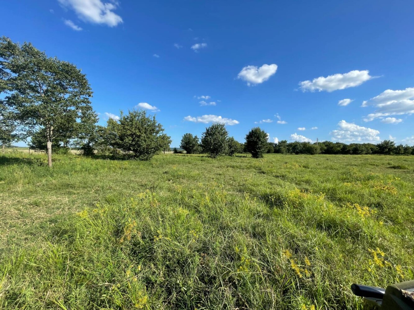 Land for Sale in Haskell County, OK (39 of 72)