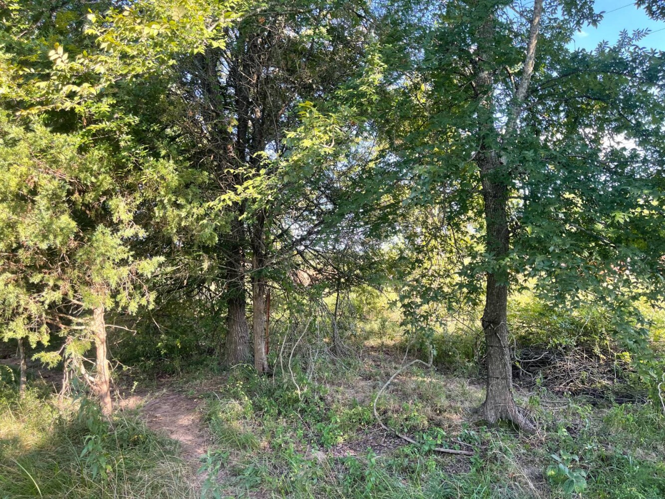 Land for Sale in Haskell County, OK (40 of 72)