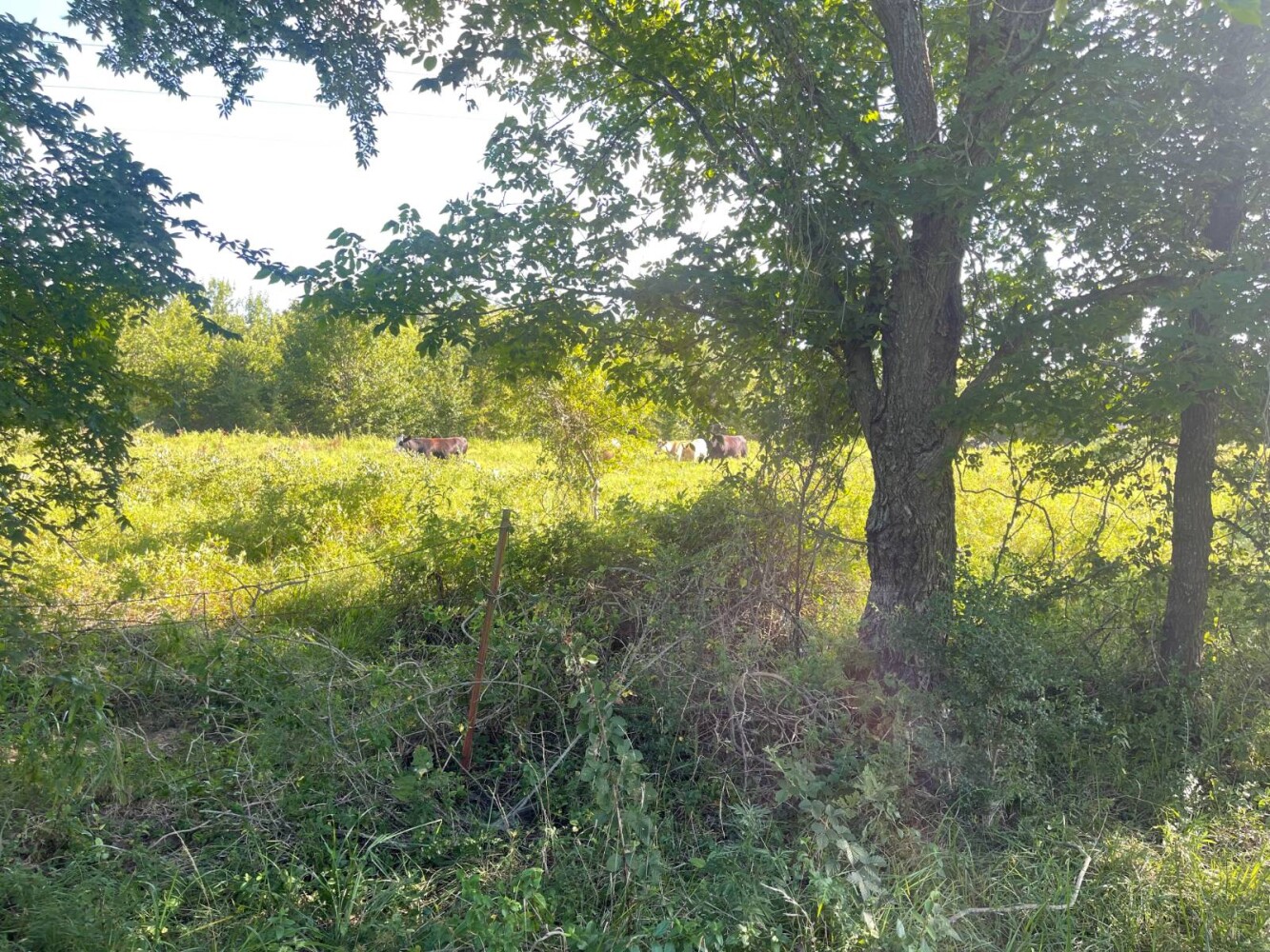 Land for Sale in Haskell County, OK (41 of 72)