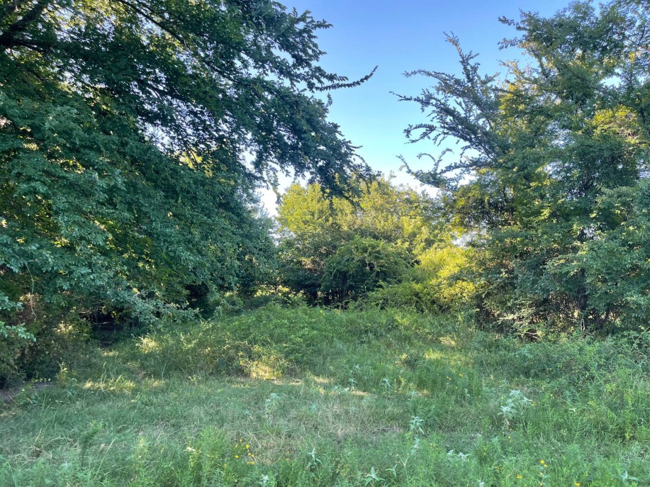 Land for Sale in Haskell County, OK (42 of 72)