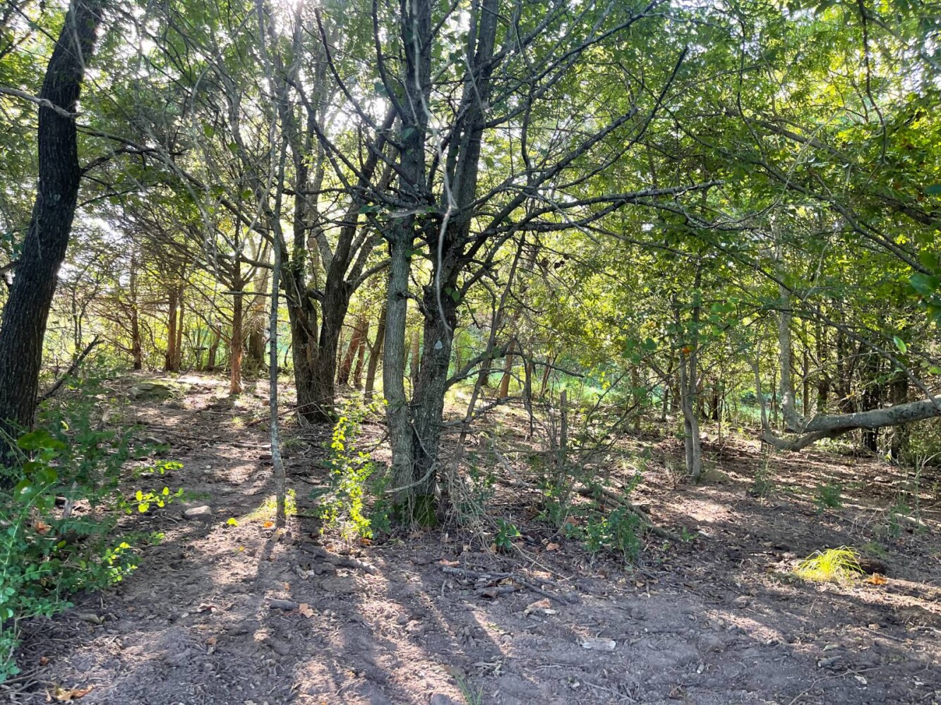 Land for Sale in Haskell County, OK (43 of 72)