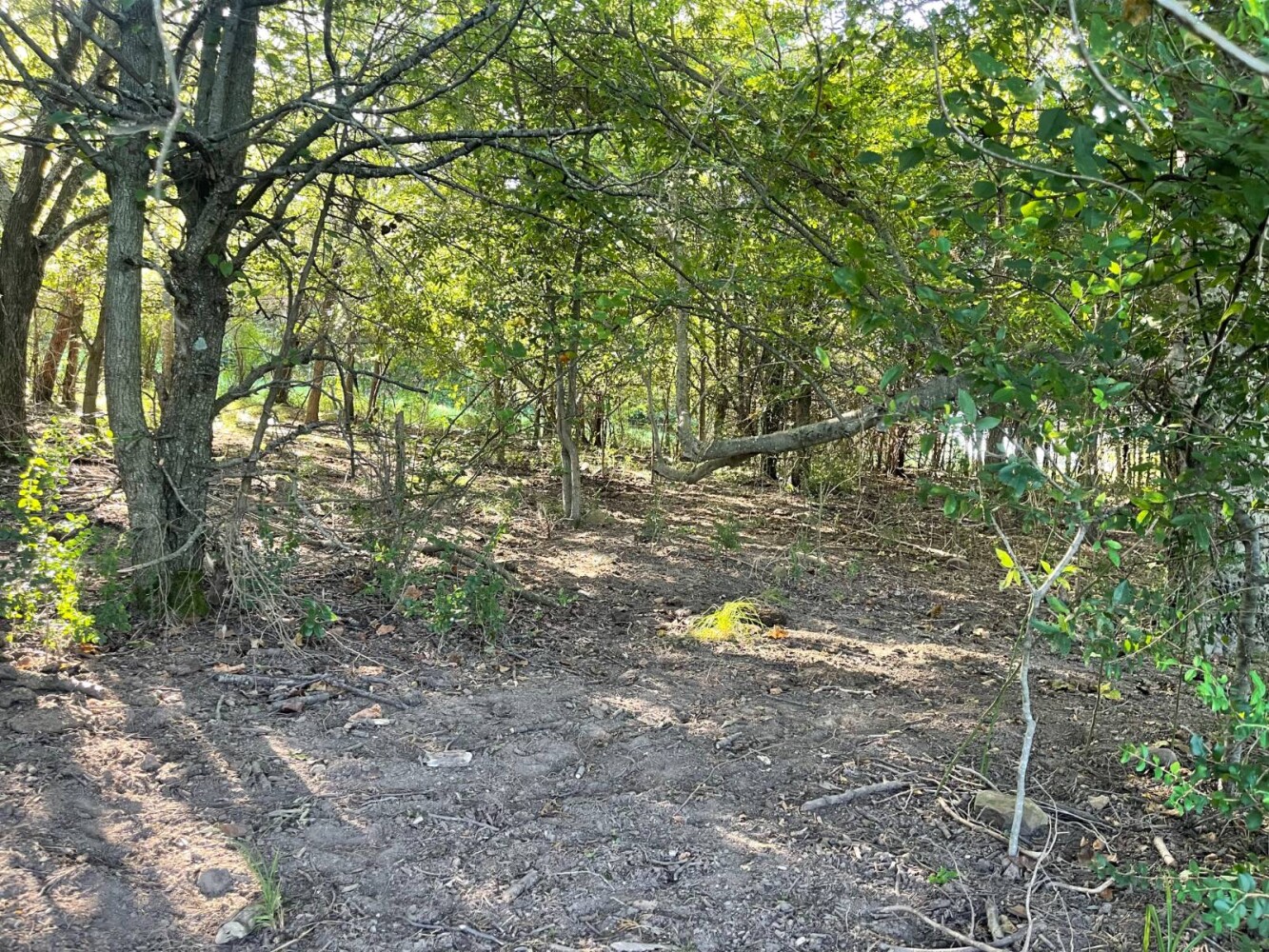Land for Sale in Haskell County, OK (44 of 72)