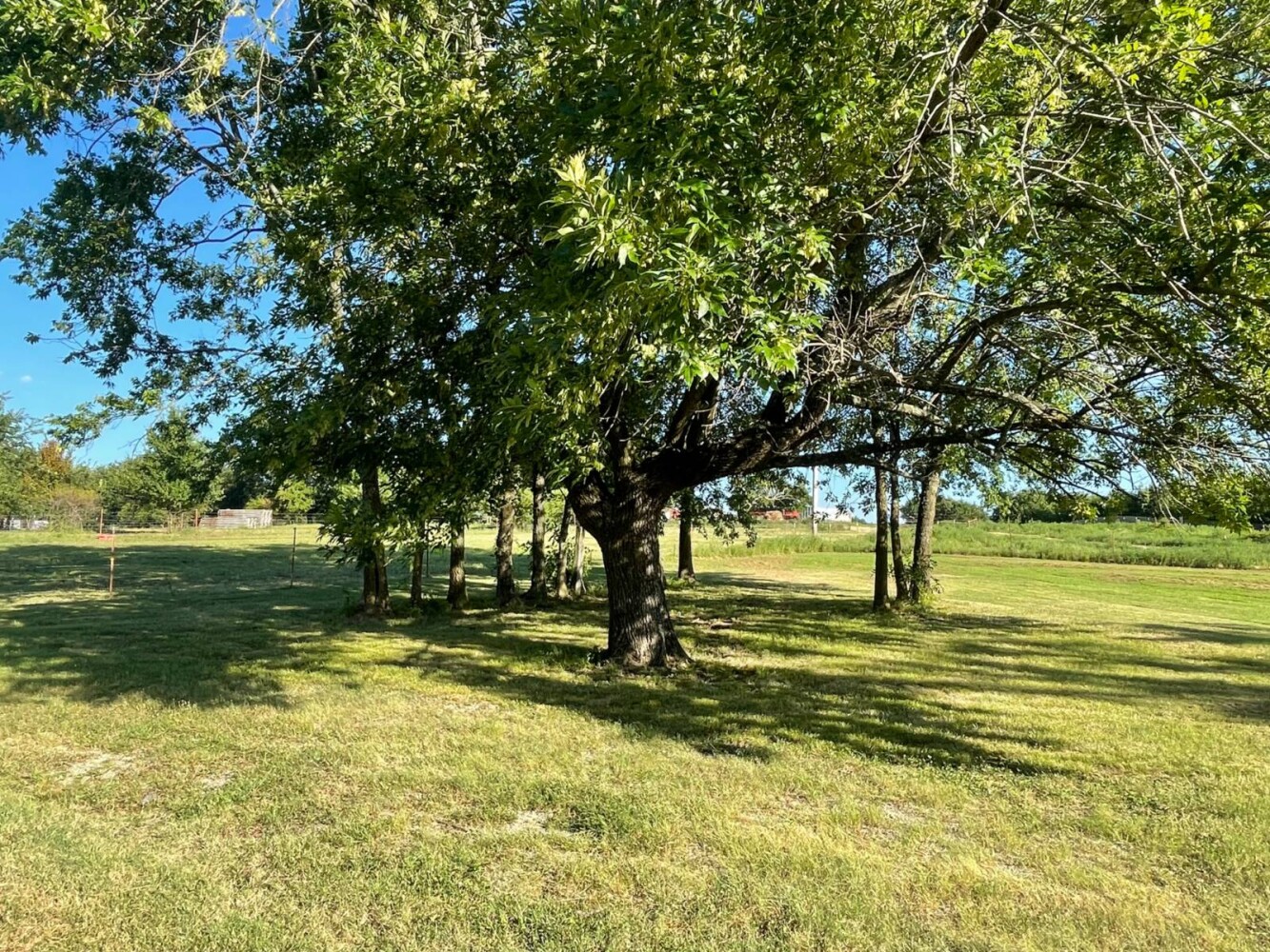 Land for Sale in Haskell County, OK (50 of 72)