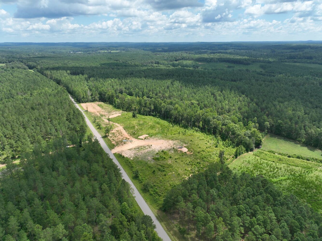 Land for Sale in Cleburne County, AL (3 of 25)