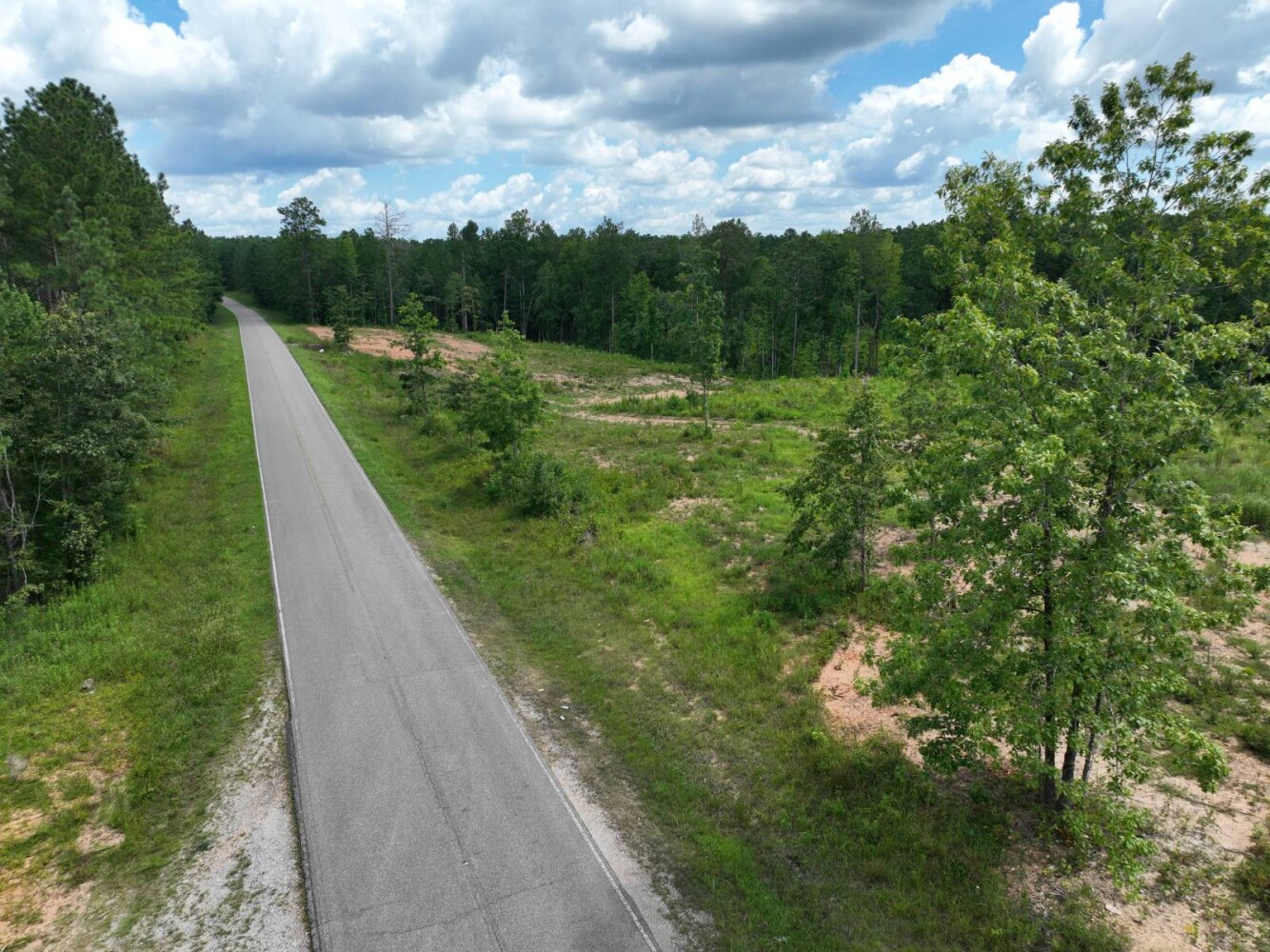 Land for Sale in Cleburne County, AL (10 of 25)