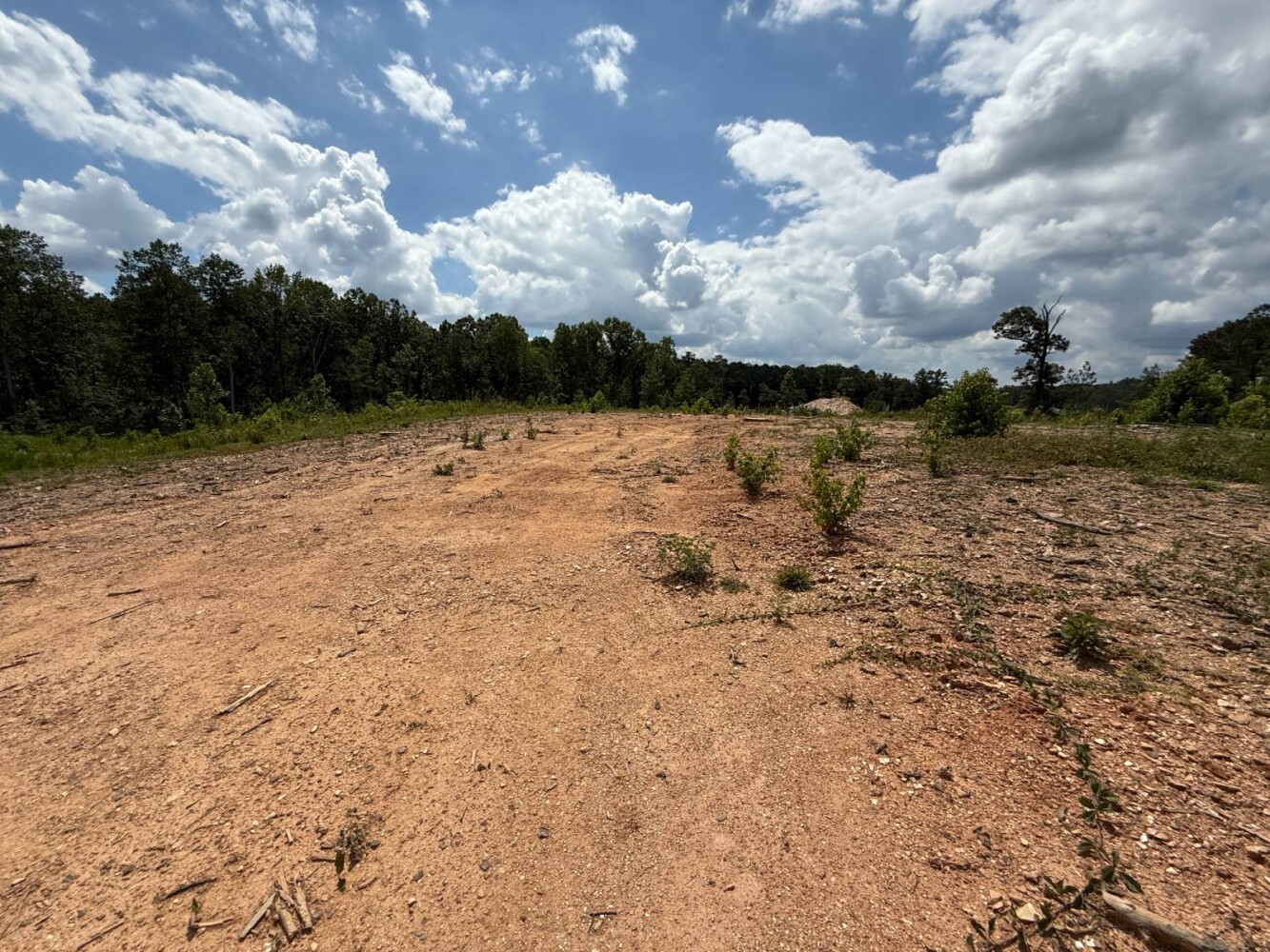 Land for Sale in Cleburne County, AL (13 of 25)
