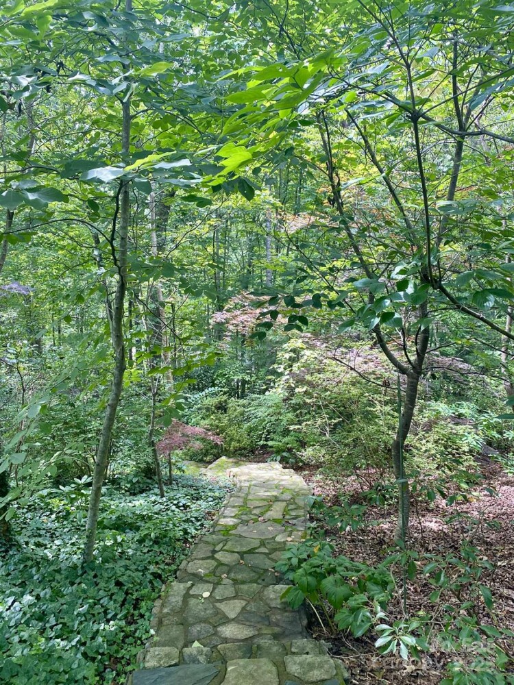 Land for Sale in McDowell County, NC (41 of 47)
