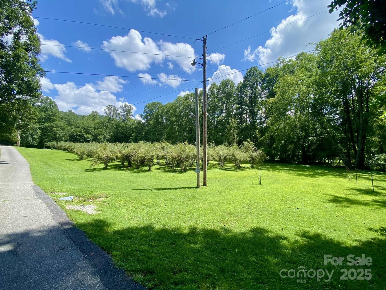 Land for Sale in McDowell County, NC (42 of 47)