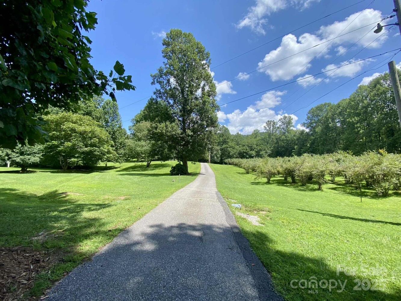 Land for Sale in McDowell County, NC (43 of 47)
