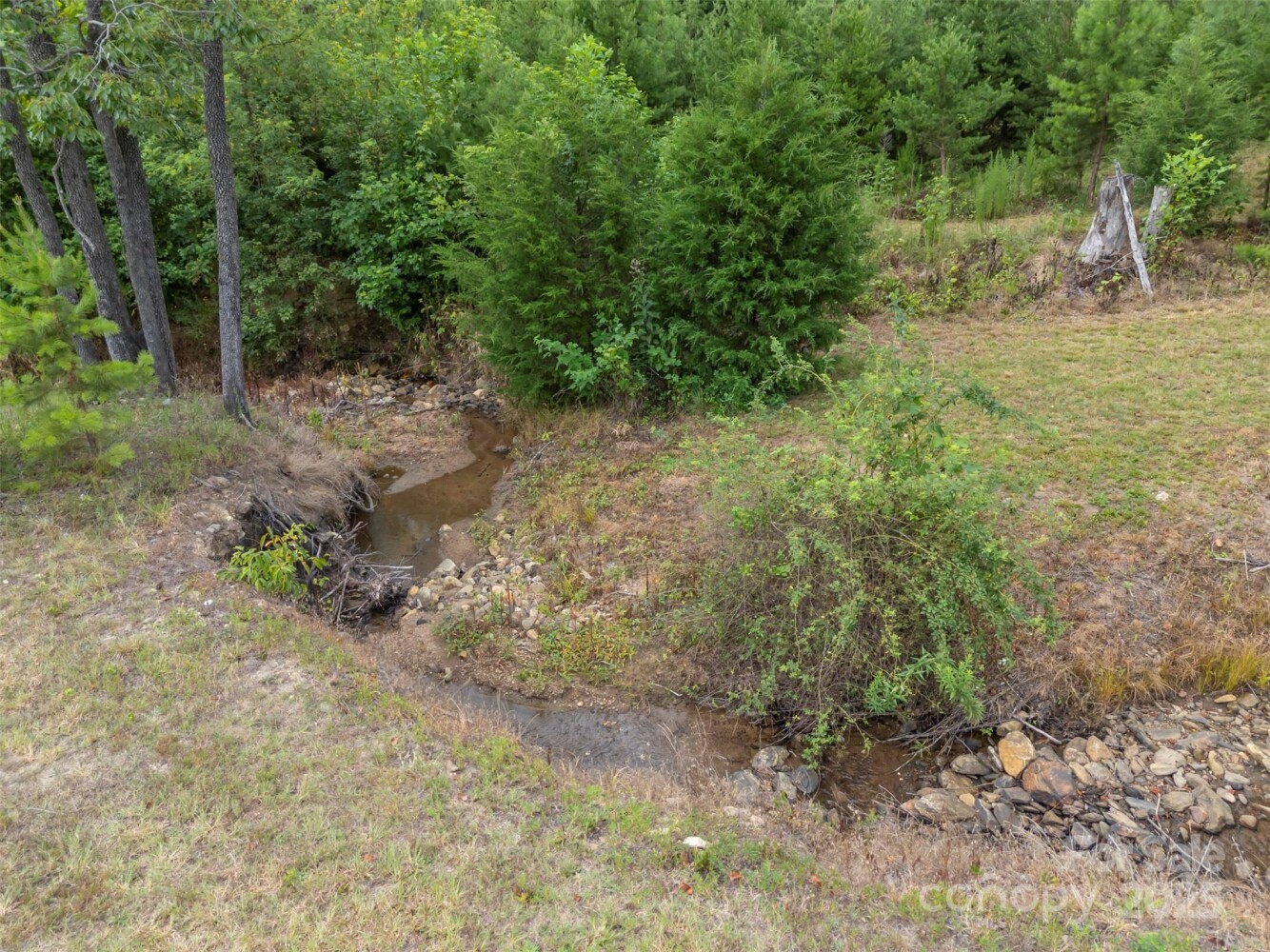 Land for Sale in Rutherford County, NC (29 of 48)