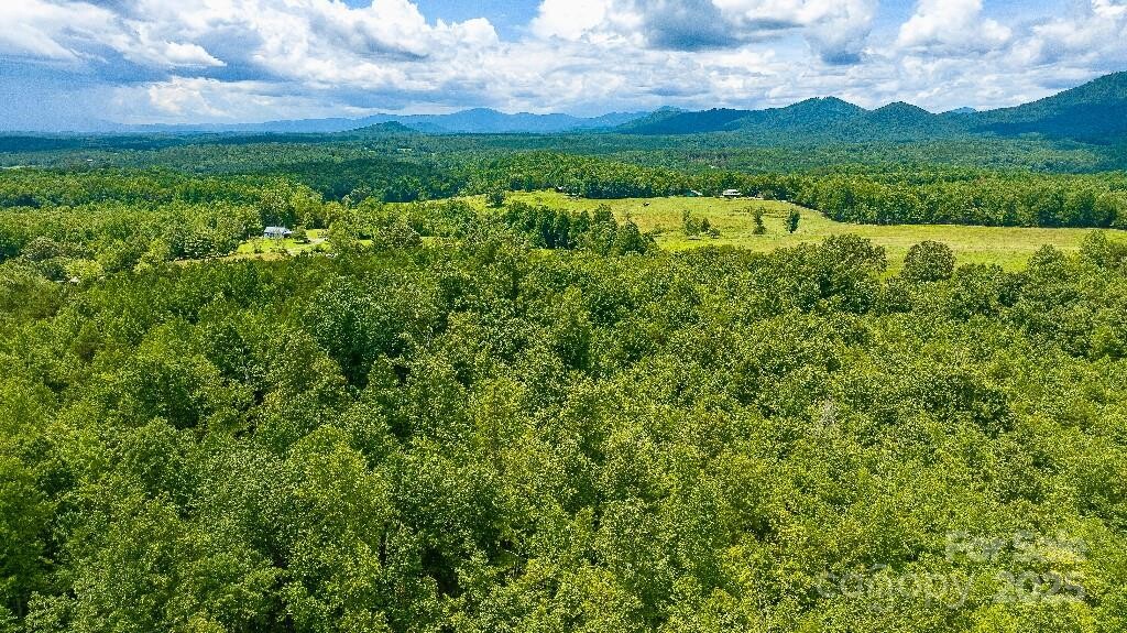 Land for Sale in Rutherford County, NC (5 of 8)