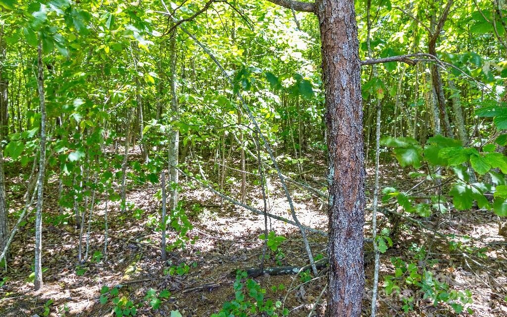 Land for Sale in Rutherford County, NC (8 of 8)