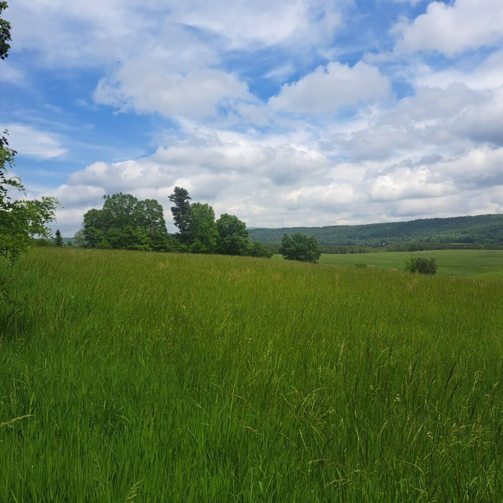 Land for Sale in Huntingdon County, PA (2 of 22)