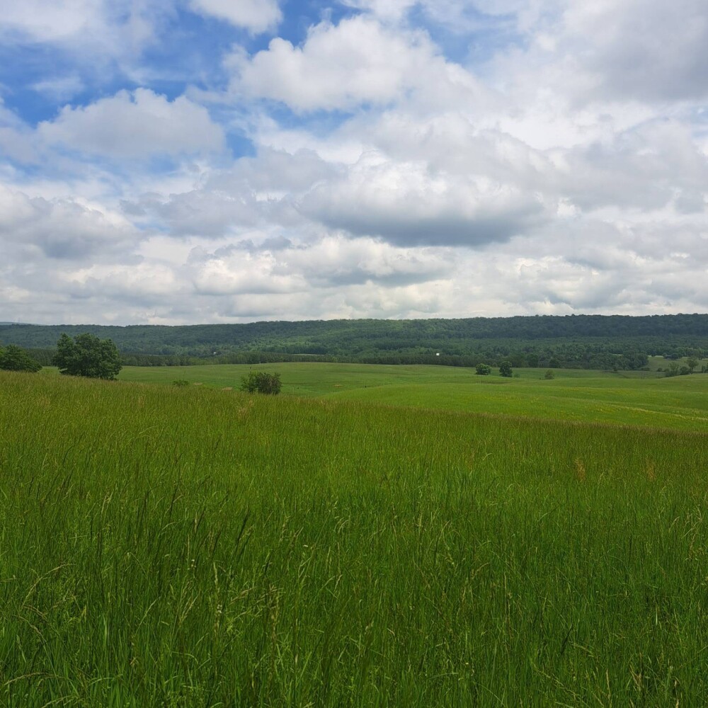 Land for Sale in Huntingdon County, PA (3 of 22)