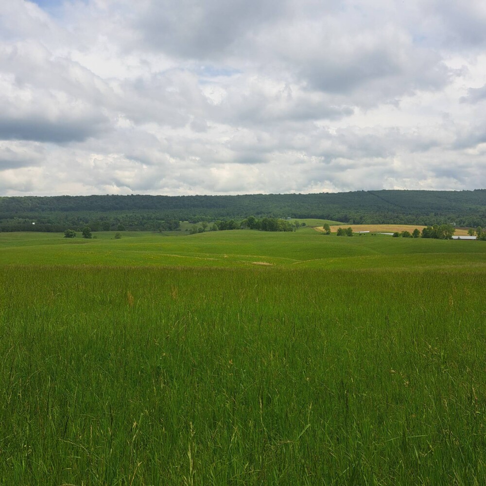 Land for Sale in Huntingdon County, PA (4 of 22)