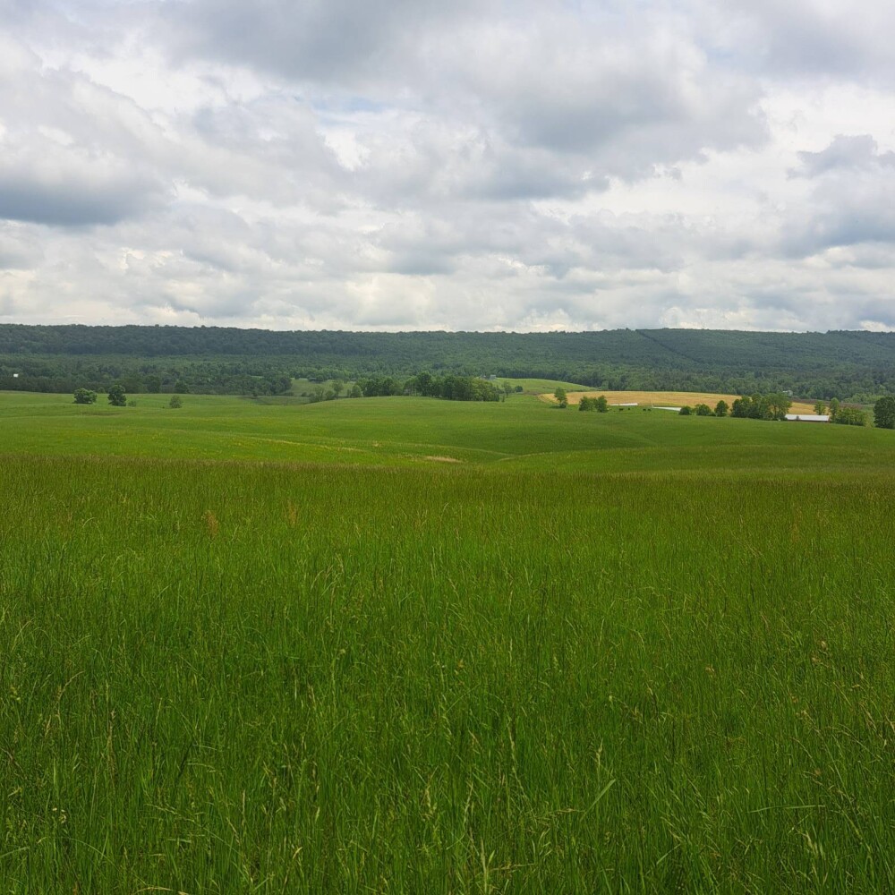 Land for Sale in Huntingdon County, PA (6 of 22)