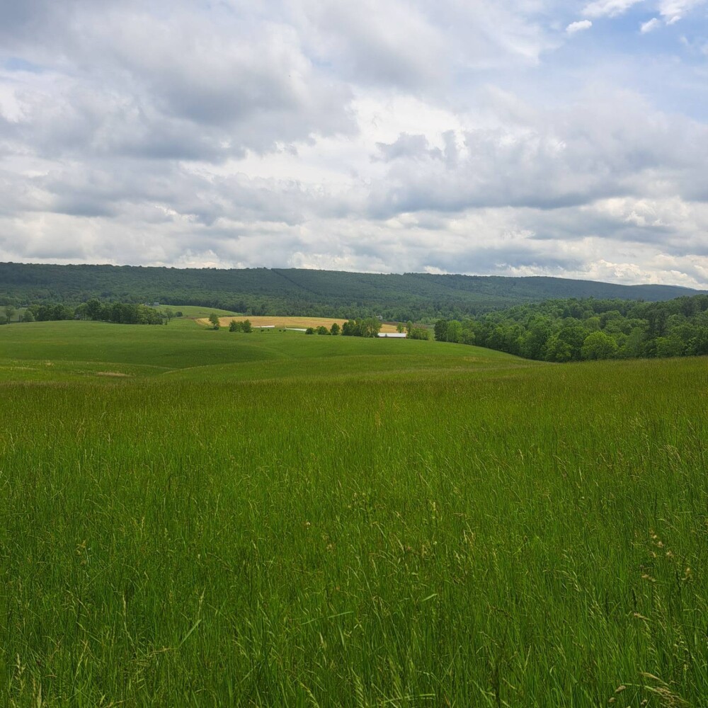 Land for Sale in Huntingdon County, PA (7 of 22)