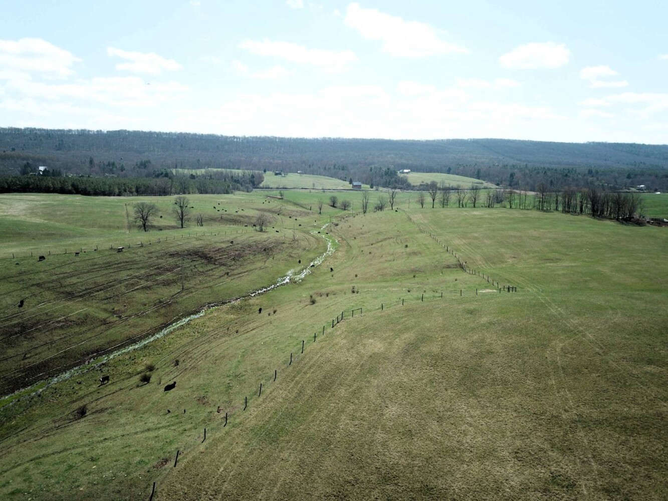 Land for Sale in Huntingdon County, PA (13 of 22)
