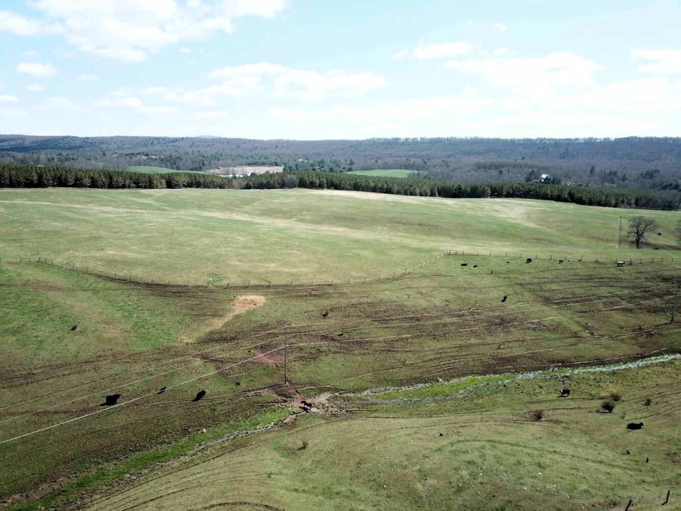 Land for Sale in Huntingdon County, PA (14 of 22)