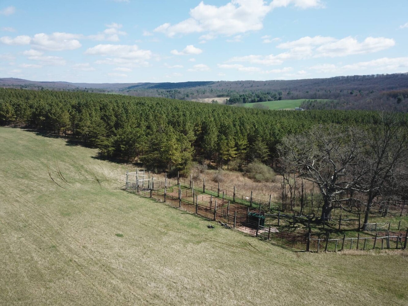 Land for Sale in Huntingdon County, PA (16 of 22)