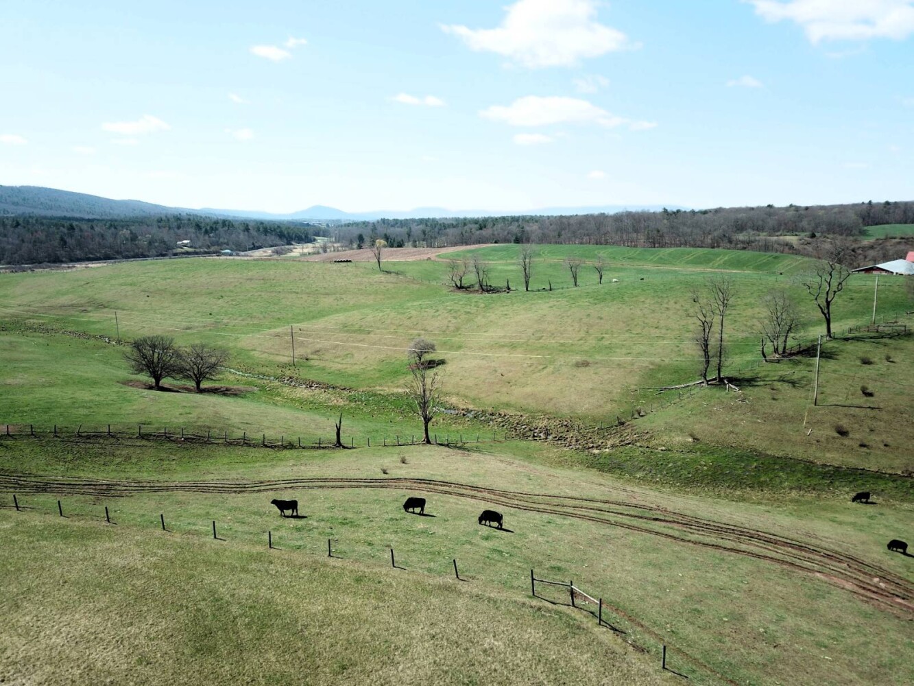 Land for Sale in Huntingdon County, PA (18 of 22)
