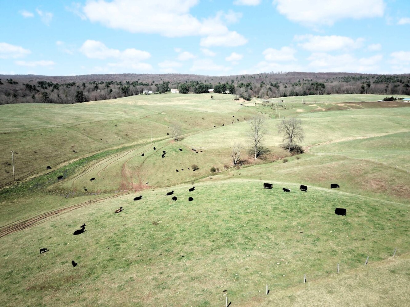 Land for Sale in Huntingdon County, PA (20 of 22)
