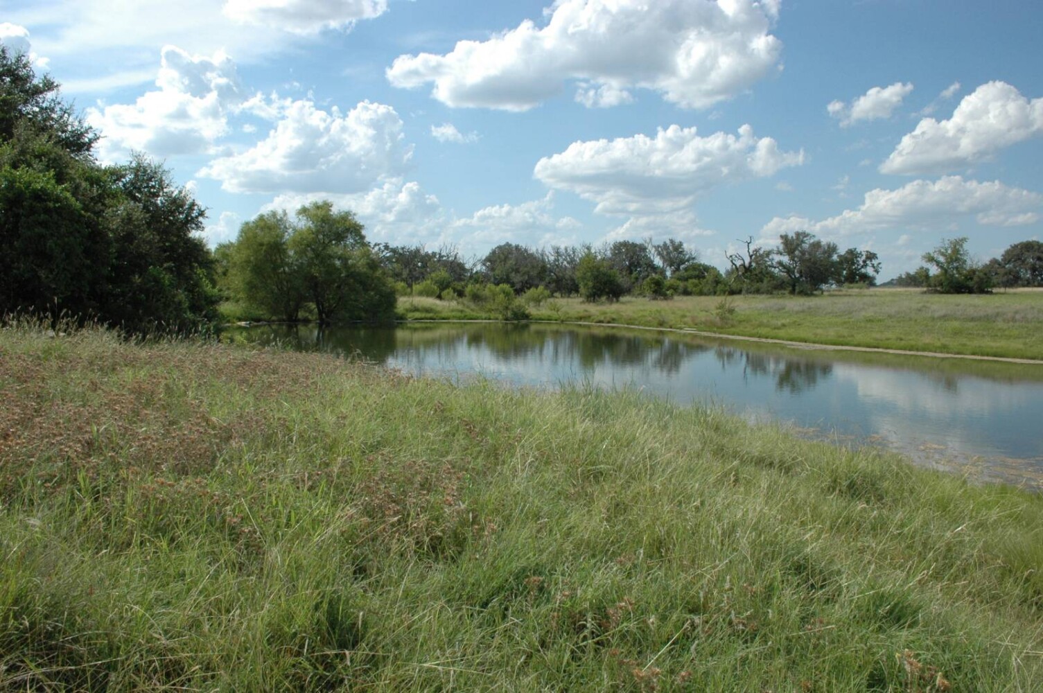 Land for Sale in Mills County, TX (1 of 22)