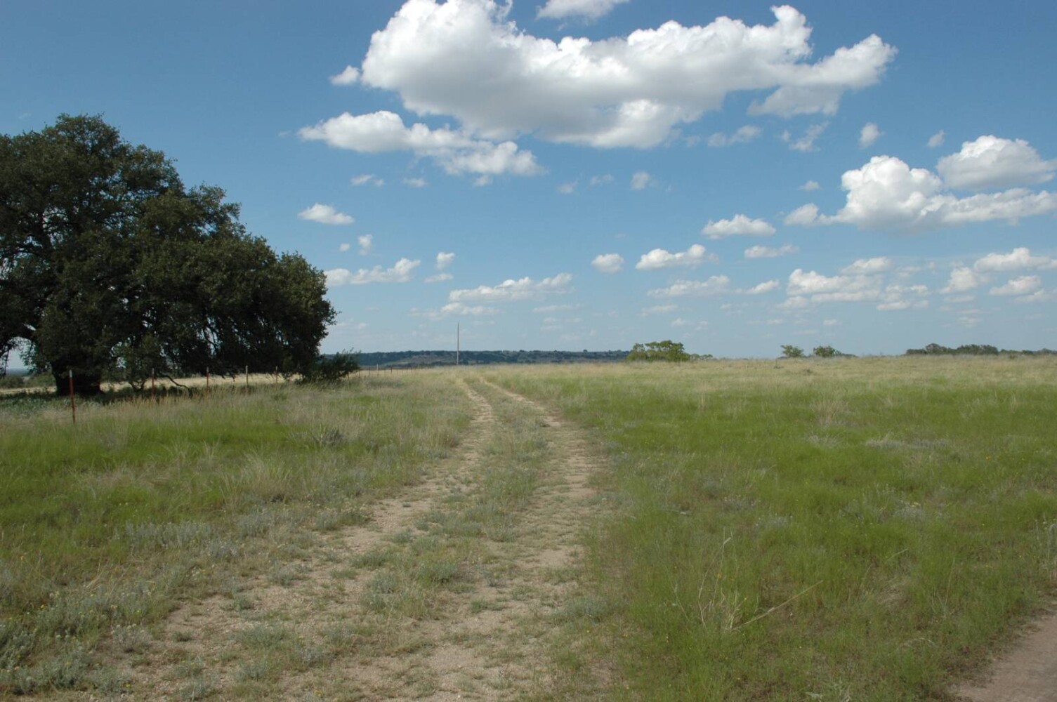 Land for Sale in Mills County, TX (2 of 22)
