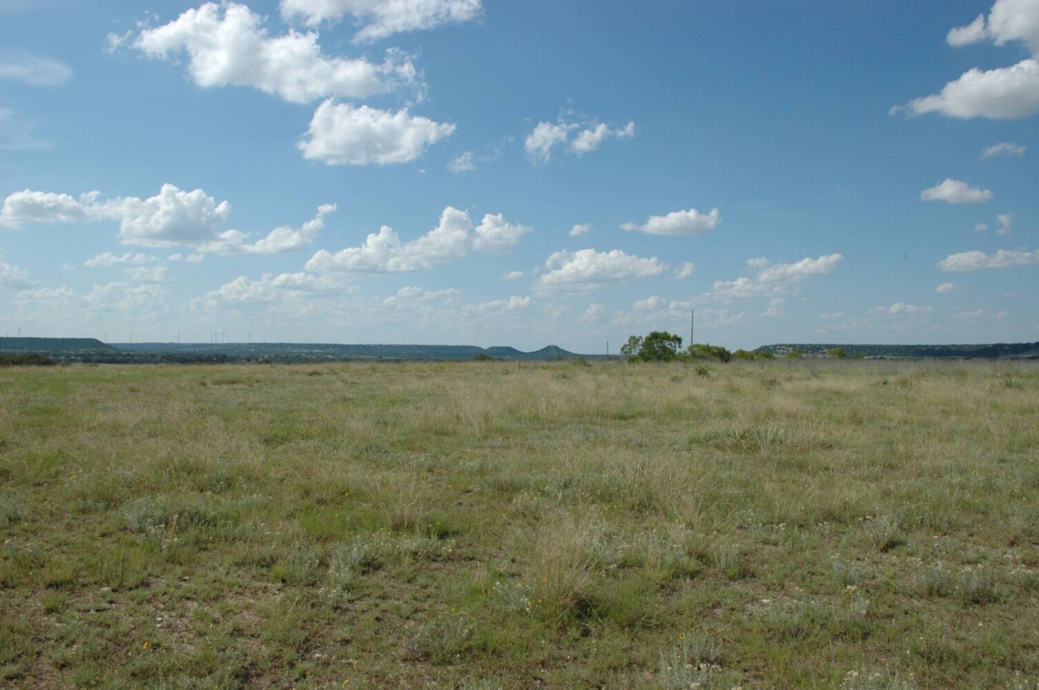 Land for Sale in Mills County, TX (3 of 22)