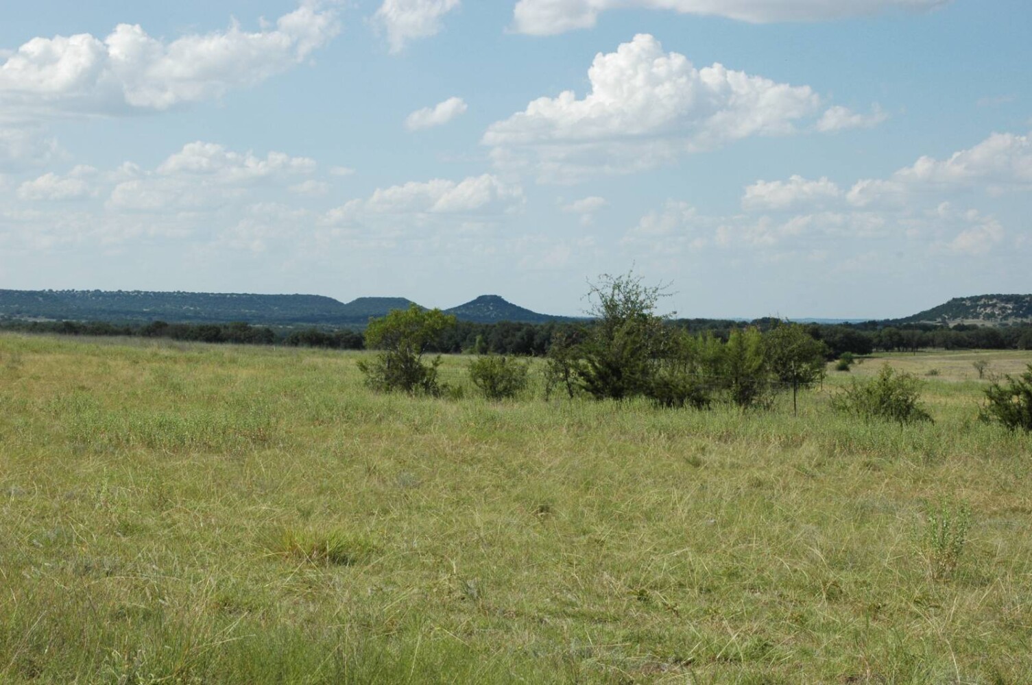Land for Sale in Mills County, TX (5 of 22)