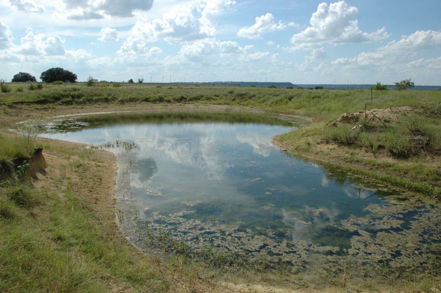Land for Sale in Mills County, TX (6 of 22)
