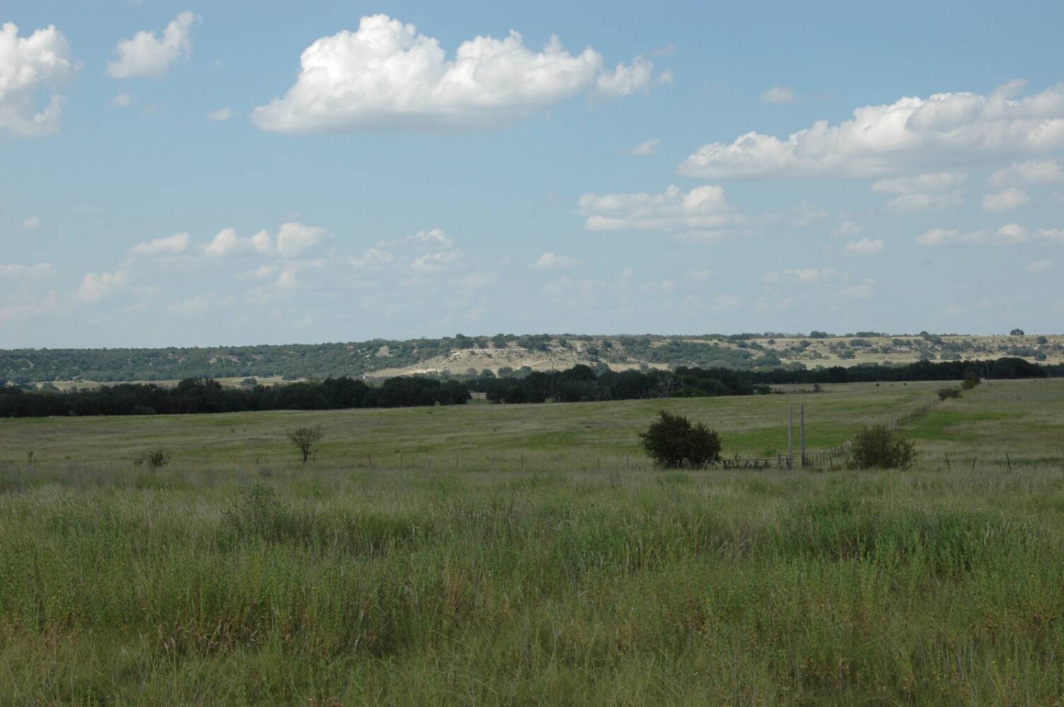 Land for Sale in Mills County, TX (7 of 22)