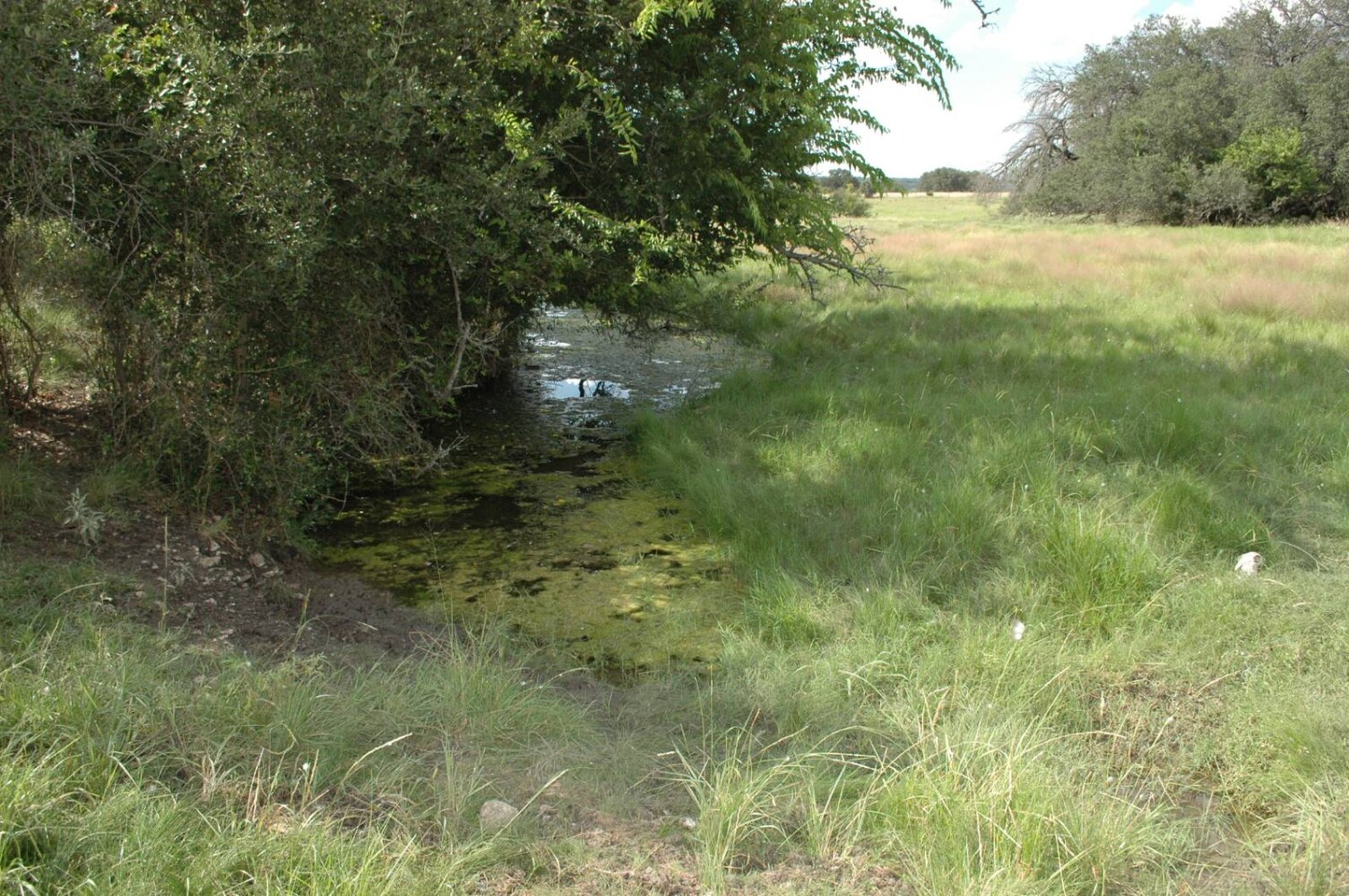 Land for Sale in Mills County, TX (10 of 22)