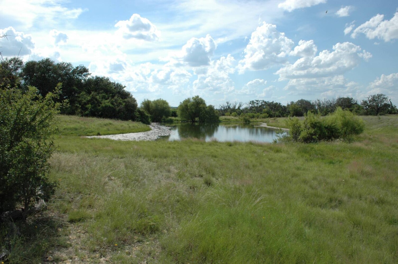 Land for Sale in Mills County, TX (11 of 22)