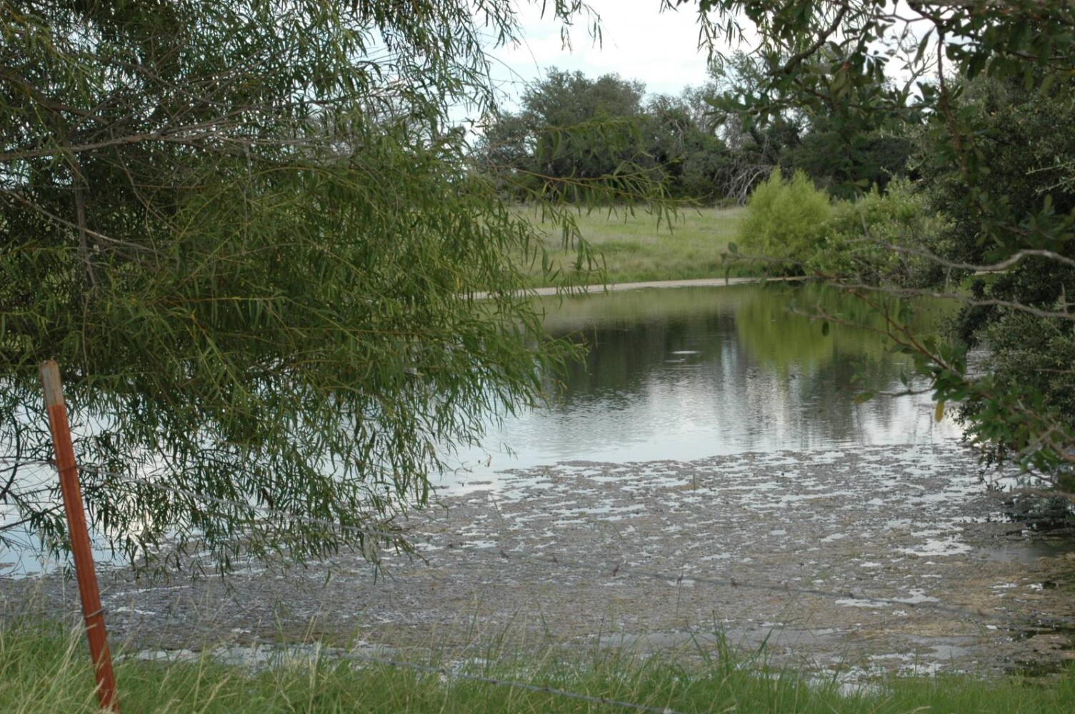 Land for Sale in Mills County, TX (12 of 22)