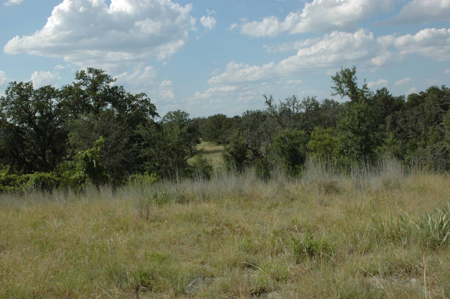 Land for Sale in Mills County, TX (14 of 22)