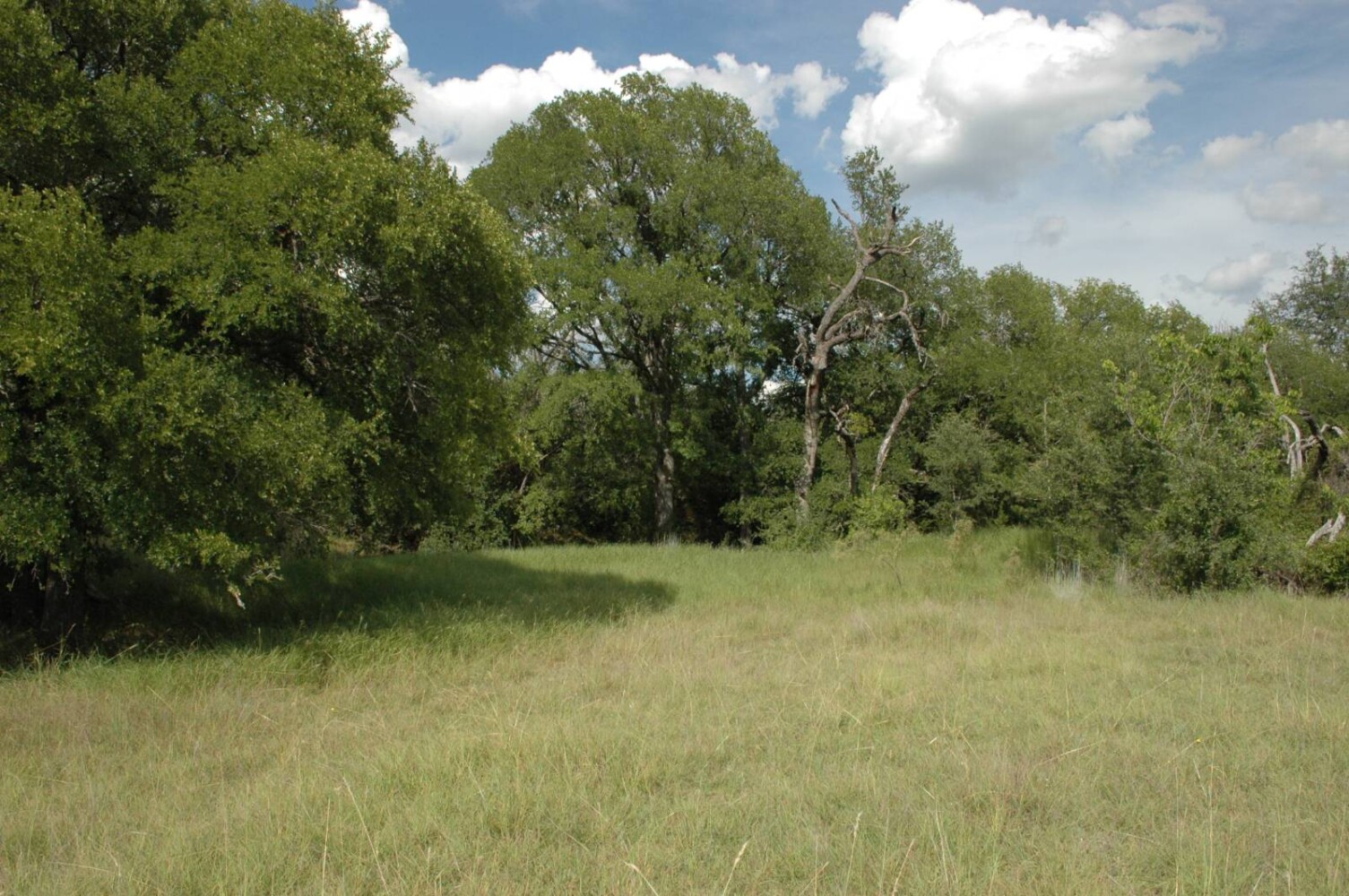 Land for Sale in Mills County, TX (15 of 22)