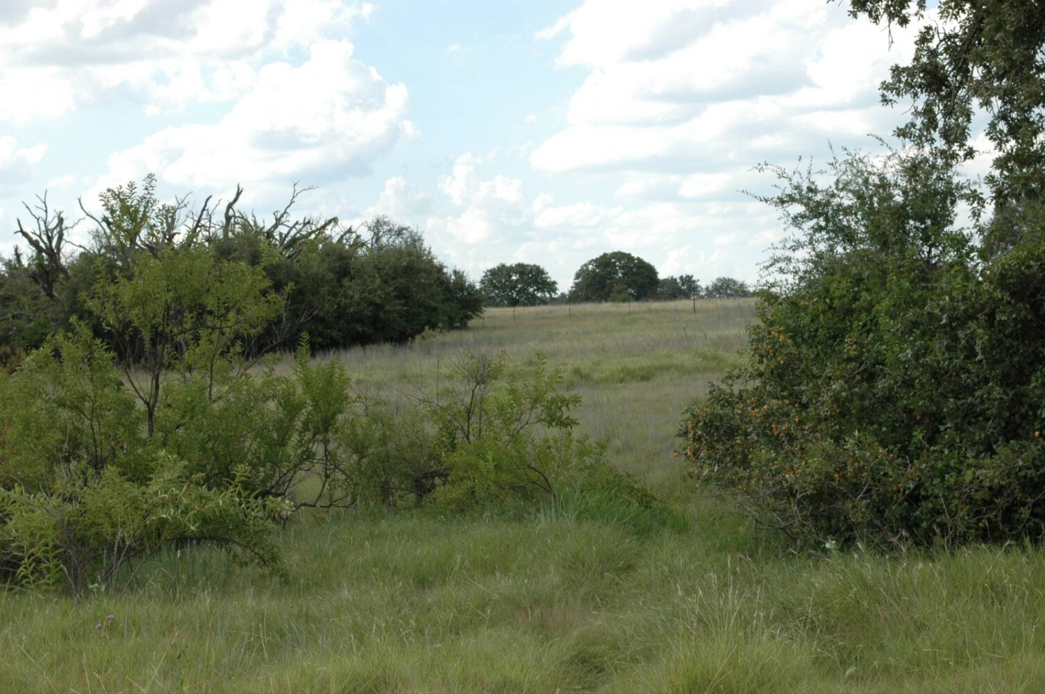 Land for Sale in Mills County, TX (18 of 22)