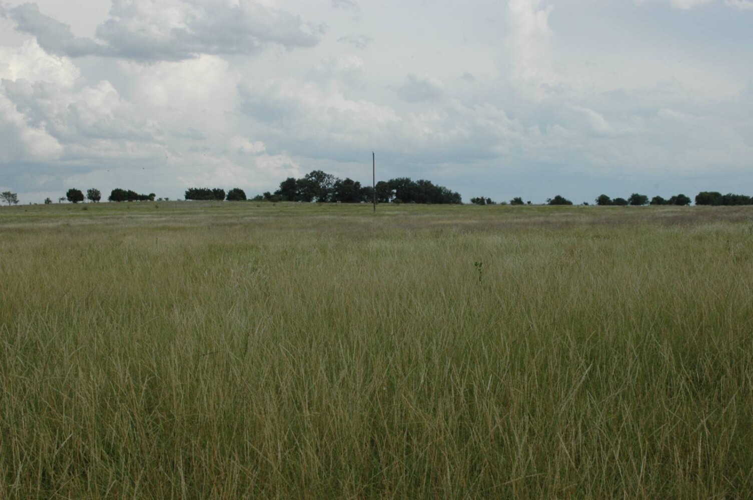 Land for Sale in Mills County, TX (19 of 22)