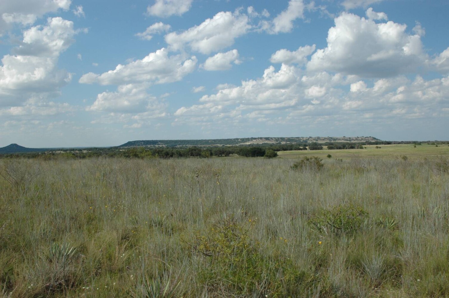 Land for Sale in Mills County, TX (20 of 22)