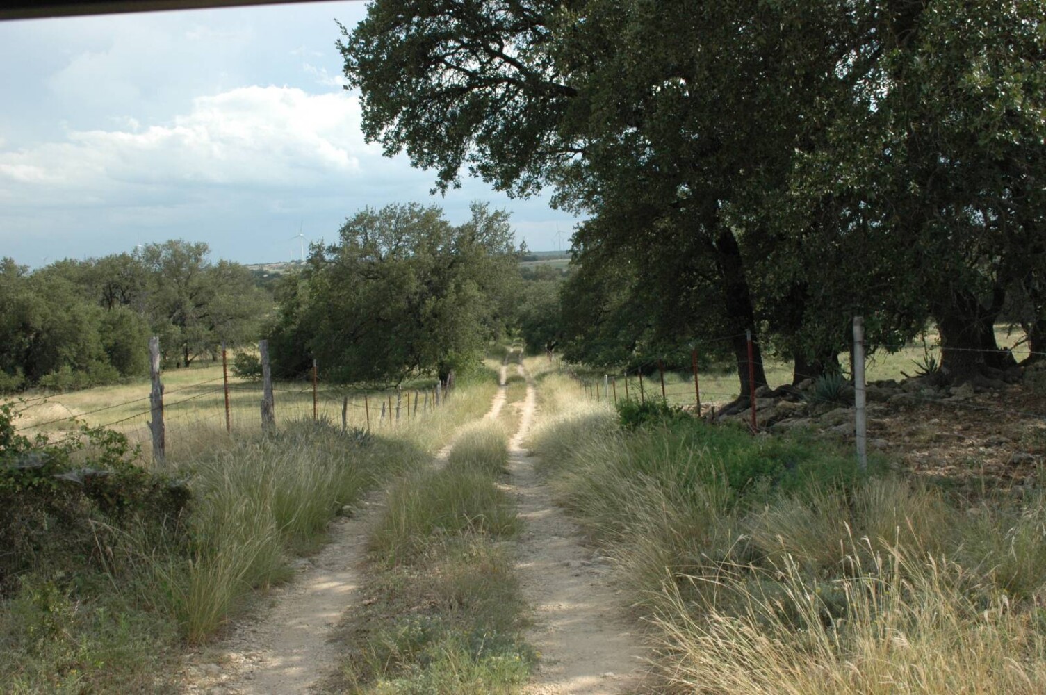 Land for Sale in Mills County, TX (21 of 22)