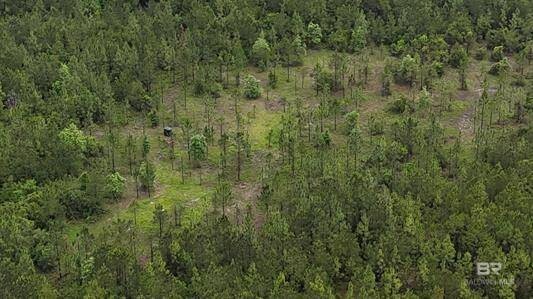 Land for Sale in Baldwin County, AL (2 of 8)