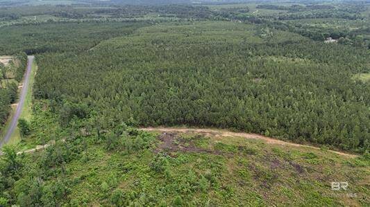 Land for Sale in Baldwin County, AL (3 of 8)