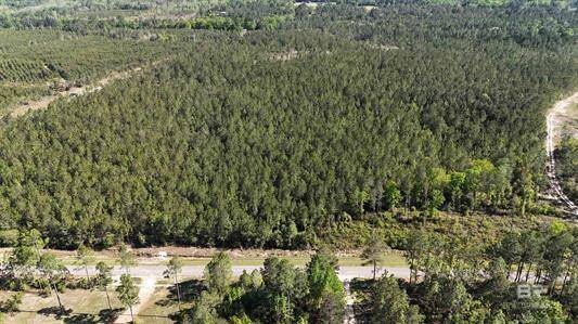 Land for Sale in Baldwin County, AL (4 of 8)
