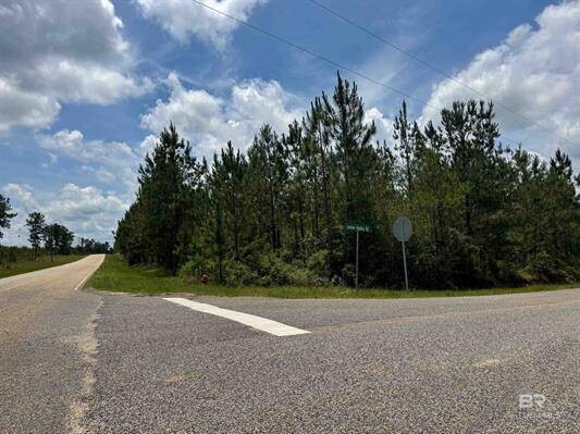 Land for Sale in Baldwin County, AL (5 of 8)