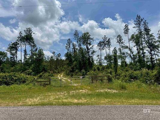 Land for Sale in Baldwin County, AL (6 of 8)
