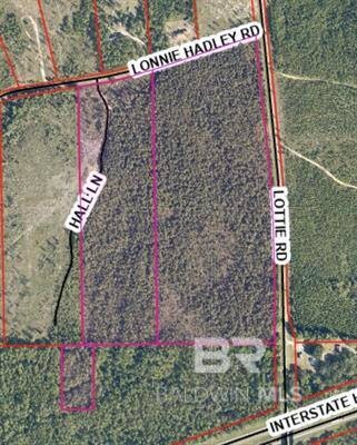 Land for Sale in Baldwin County, AL (7 of 8)